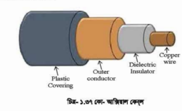 কো-অ্যাক্সিয়াল কেবল