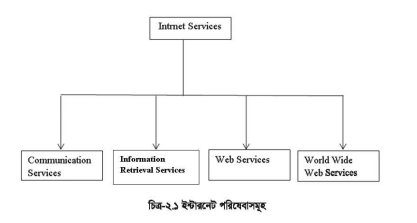 ইন্টারনেট পরিষেবাসমূহ এবং কেব্ল টিভি নেটওয়ার্কিং