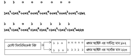 ইন্টারনেট প্রোটোকল